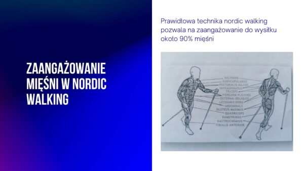 technika-chodzenia-z-kijami-nordic-walking-kurs